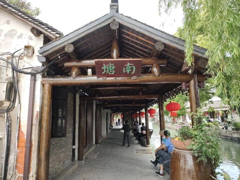 大白猫逃脱